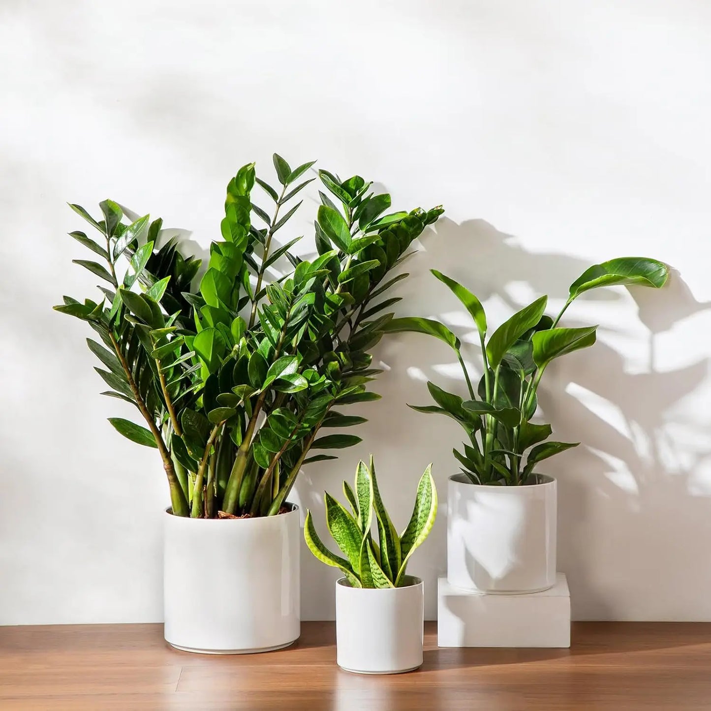 Set of 3 Ceramic Plant Pots with Drainage, 6/8/10 Inch, White, Indoor Outdoor