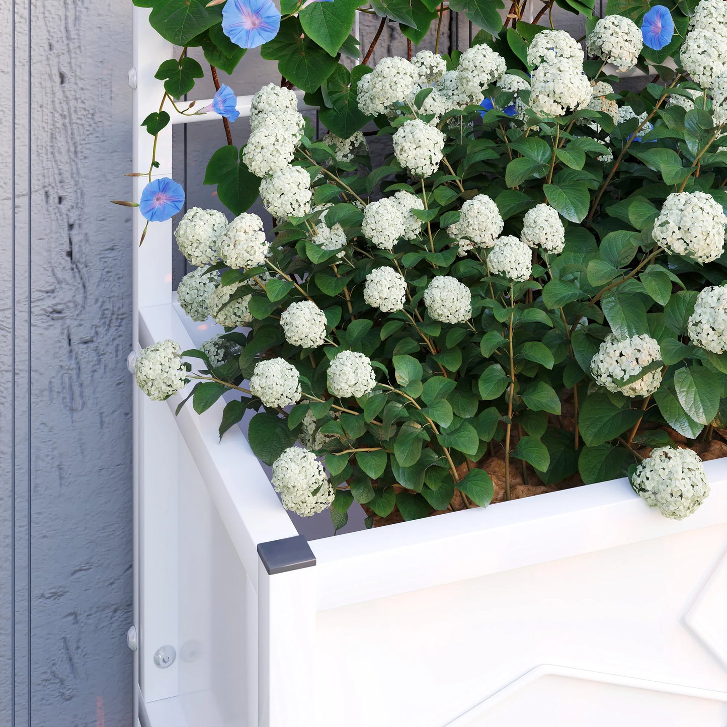 Galvanized Raised Garden Bed with Trellis Planter Box, White