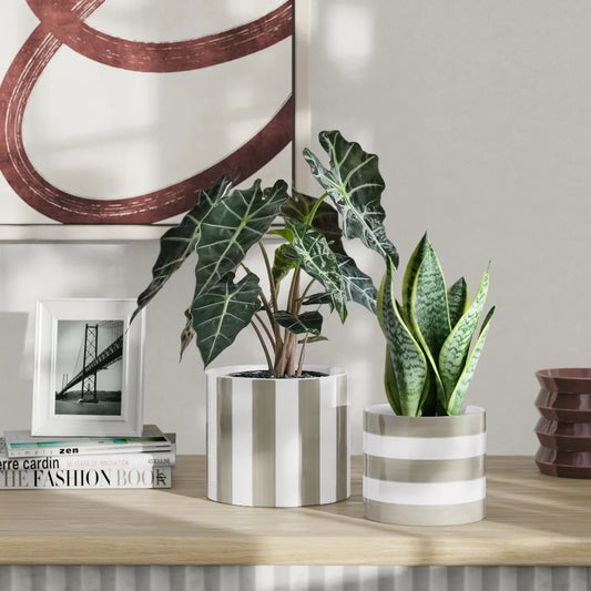 Gray and Vanity Dream Ceramic Flower Pot Round Birch Pattern Planter Indoor Outdoor Home Garden Decor