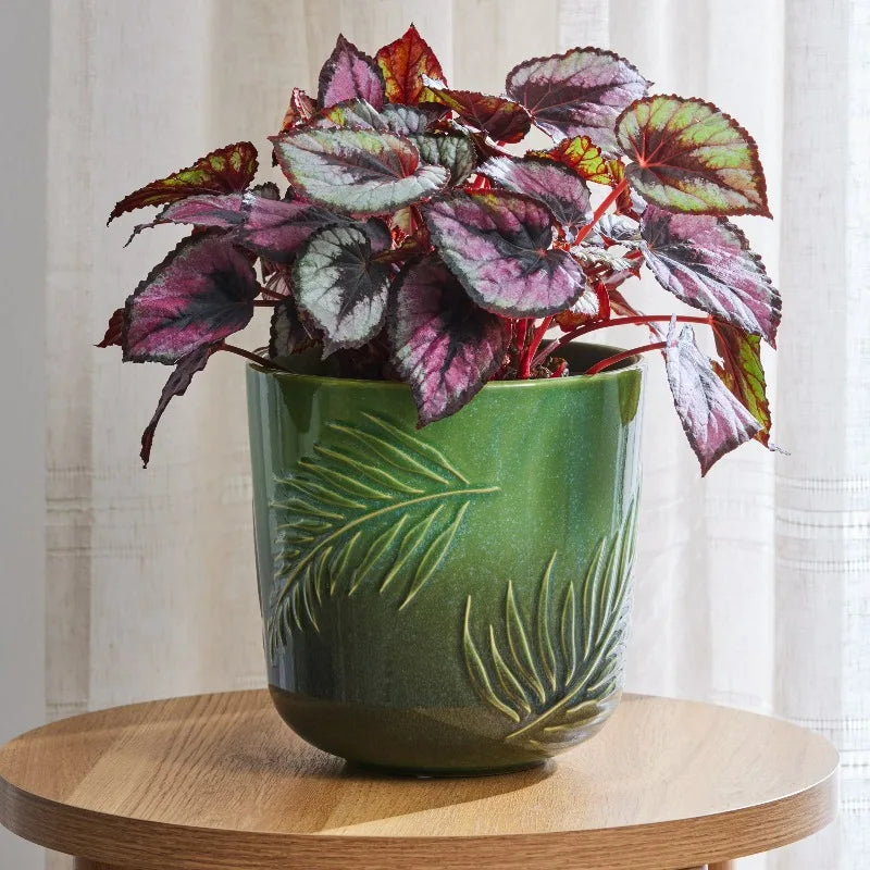 8-Inch Ceramic Planter with Botanical Design