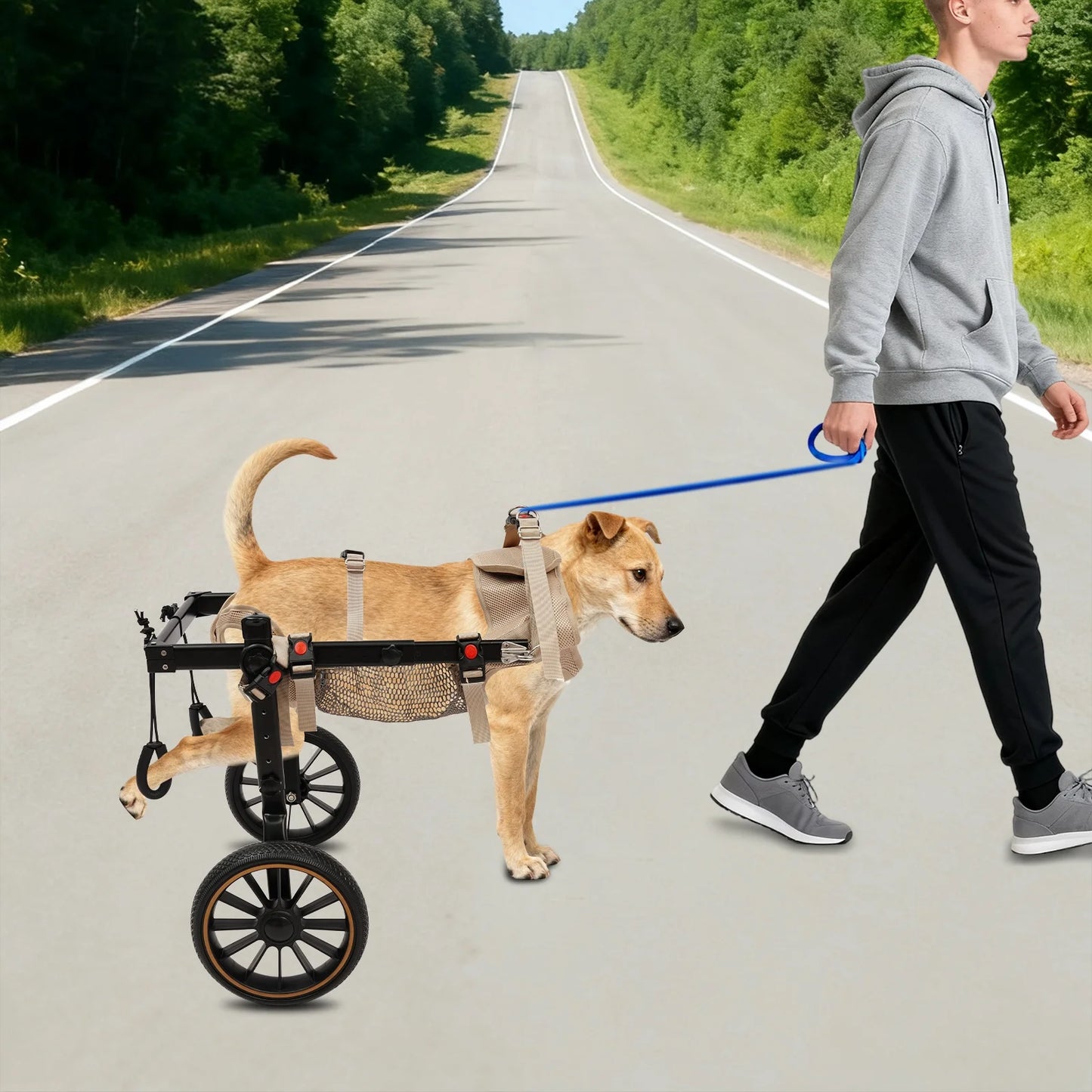 XXL Size‎ Pet Walking Aid, Pet Rehabilitation Walking Aid, 2-wheel Dog Wheelchairs For Back Legs Overall Load-capacity Within 65kg