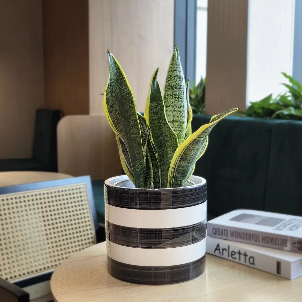 Large Round Ceramic Flower Pot Planter Modern Rich Black and Arctic White Indoor Outdoor Home Garden Decor