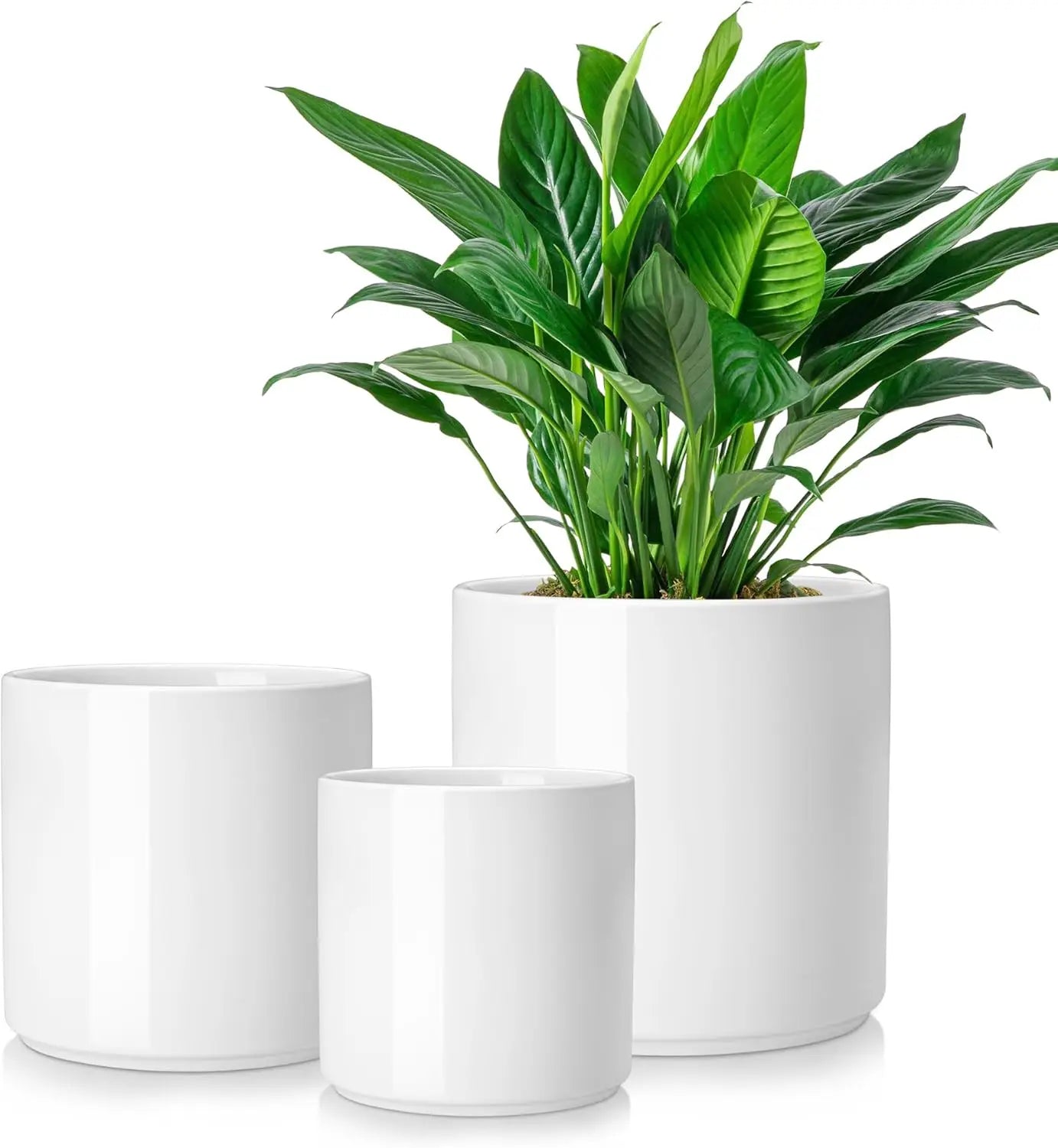 Set of 3 Ceramic Plant Pots with Drainage, 6/8/10 Inch, White, Indoor Outdoor