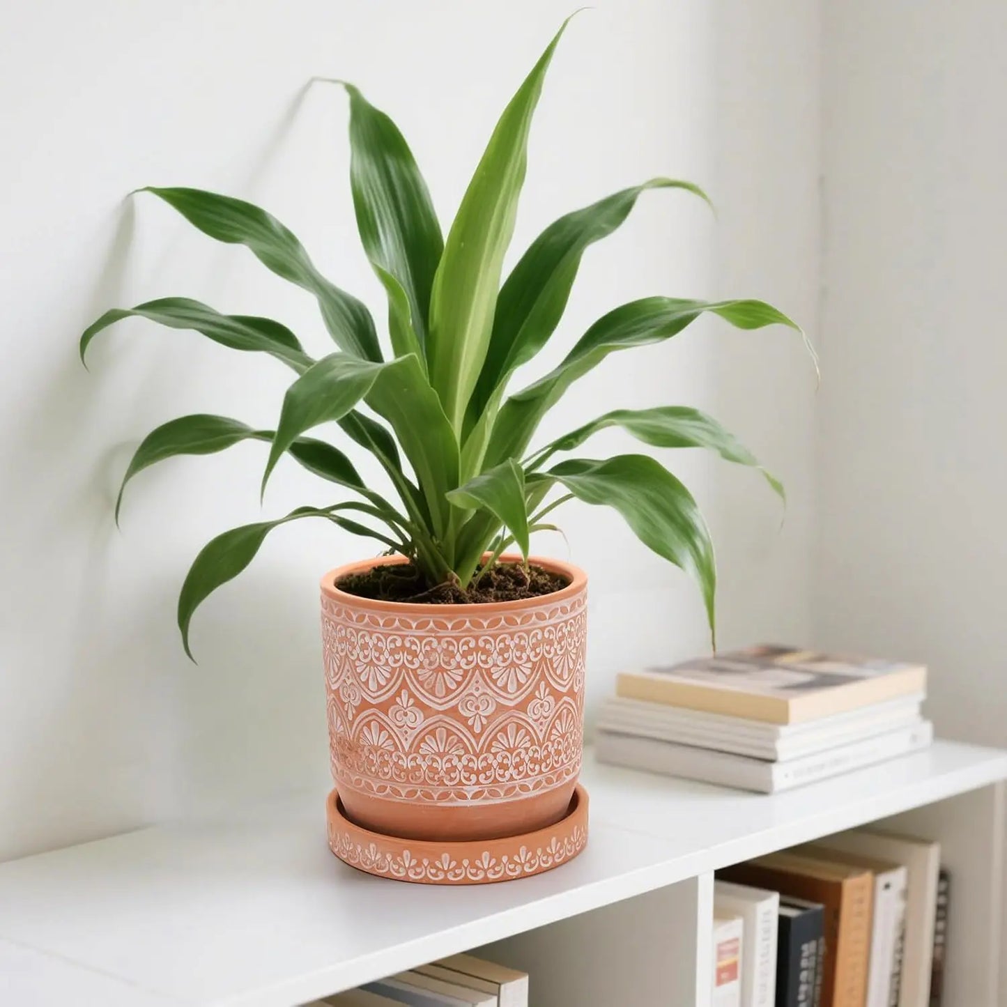 Set of 2 Terracotta Plant Pots 4 Inch 6 Inch, Small Medium Clay Planter Pot, Ceramic Cactus Flower Succulent Pot with Drainag