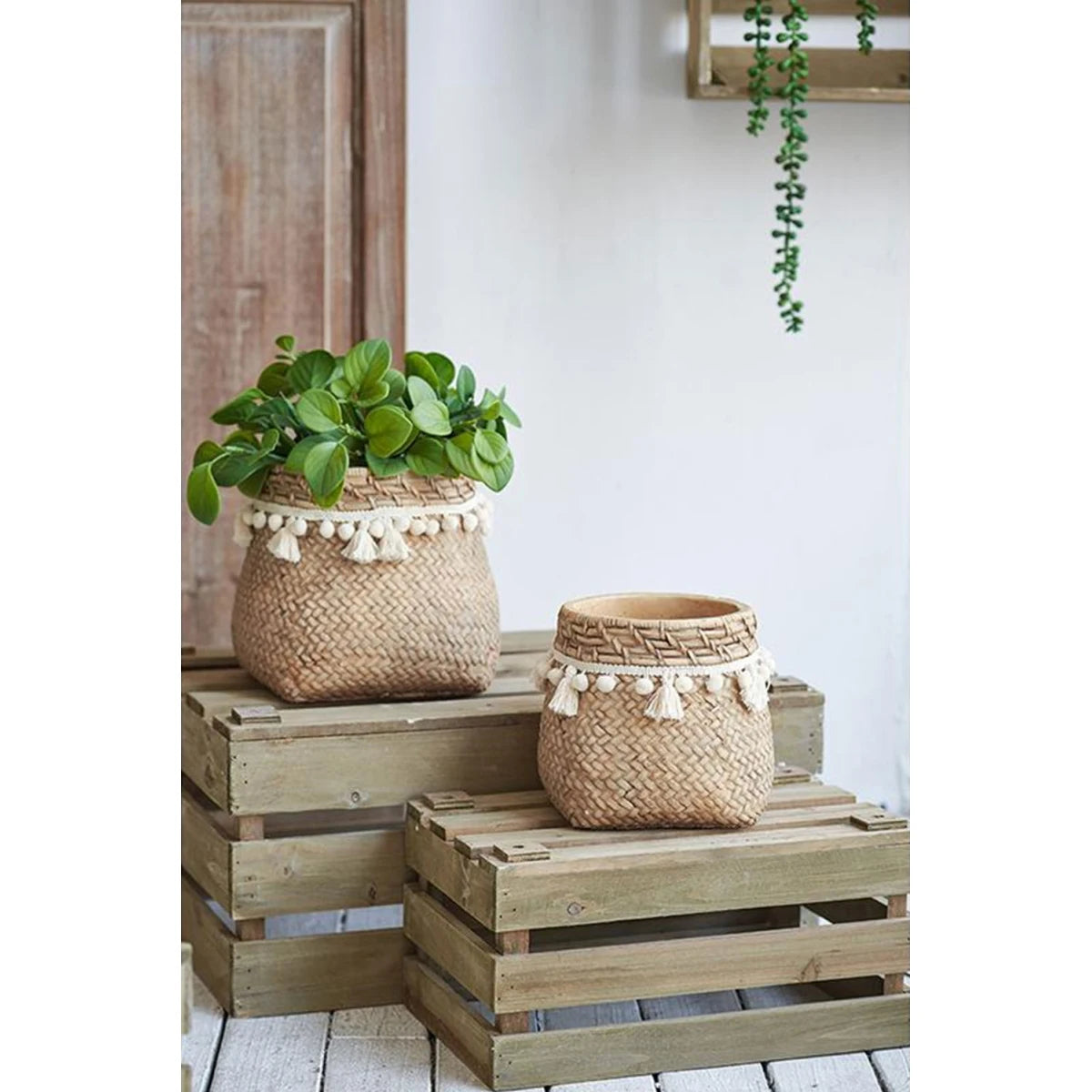 Set of 4 4.3x4.3x4" Gray Sand and Cement Planters with Brown Botanical Motifs On-Site